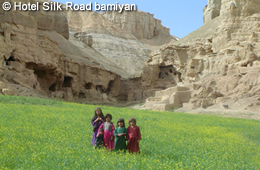 Flowers blooming in Foladi Valley in June (Bamiyan)